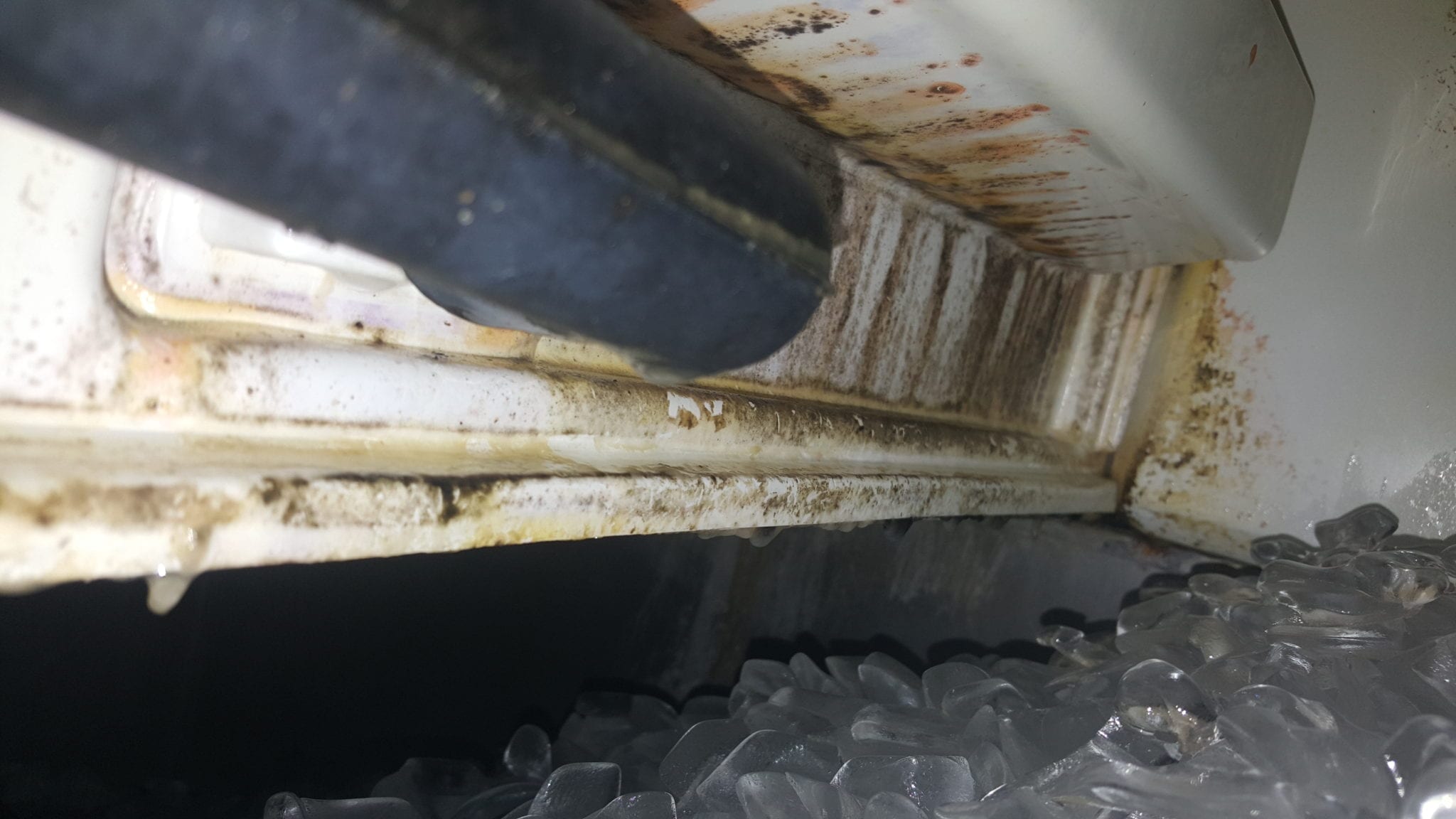 How to Clean an Ice Machine of Mold and Slime Automatic Icemakers